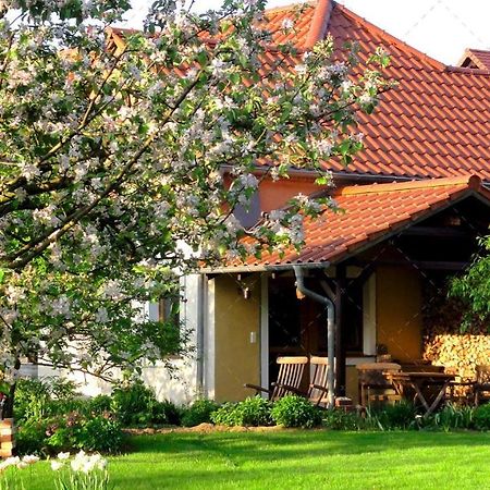 Janischs Fewo Im Spreewald, Terrasse, Grosser Garten Und Blick Inklusive Unterspreewald 외부 사진