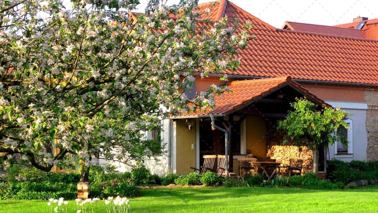 Janischs Fewo Im Spreewald, Terrasse, Grosser Garten Und Blick Inklusive Unterspreewald 외부 사진