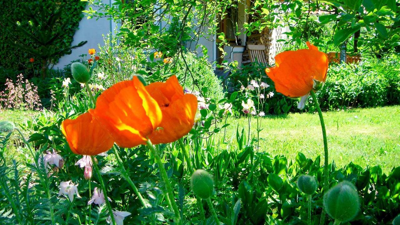 Janischs Fewo Im Spreewald, Terrasse, Grosser Garten Und Blick Inklusive Unterspreewald 외부 사진