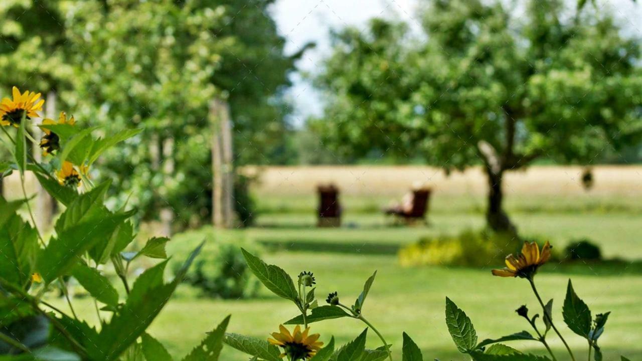 Janischs Fewo Im Spreewald, Terrasse, Grosser Garten Und Blick Inklusive Unterspreewald 외부 사진