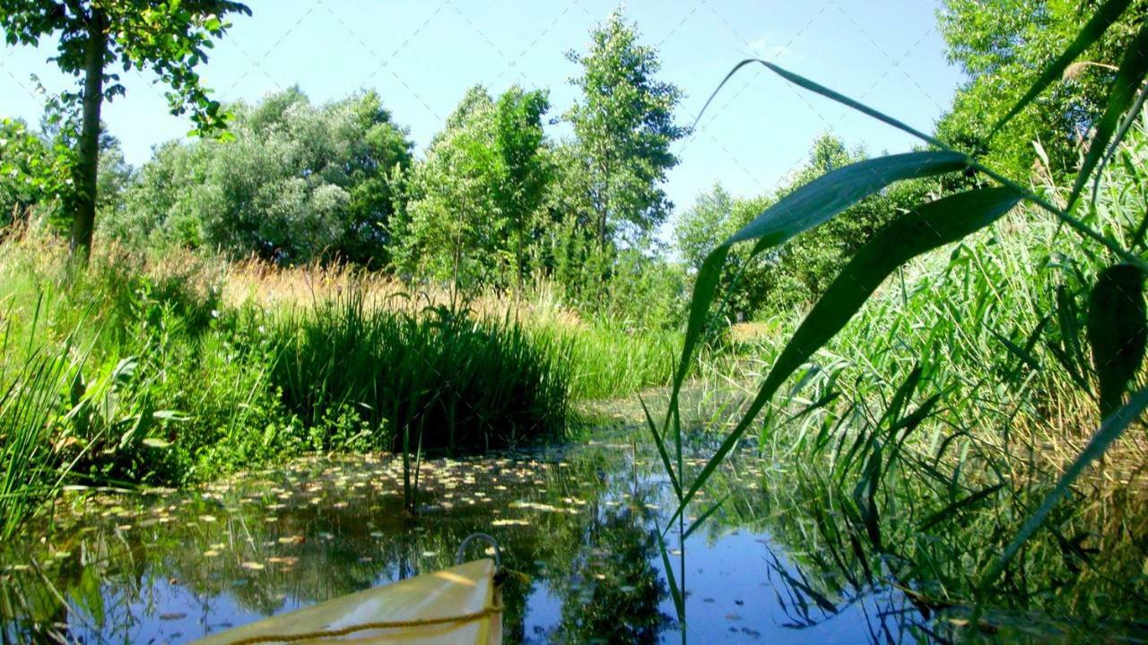 Janischs Fewo Im Spreewald, Terrasse, Grosser Garten Und Blick Inklusive Unterspreewald 외부 사진