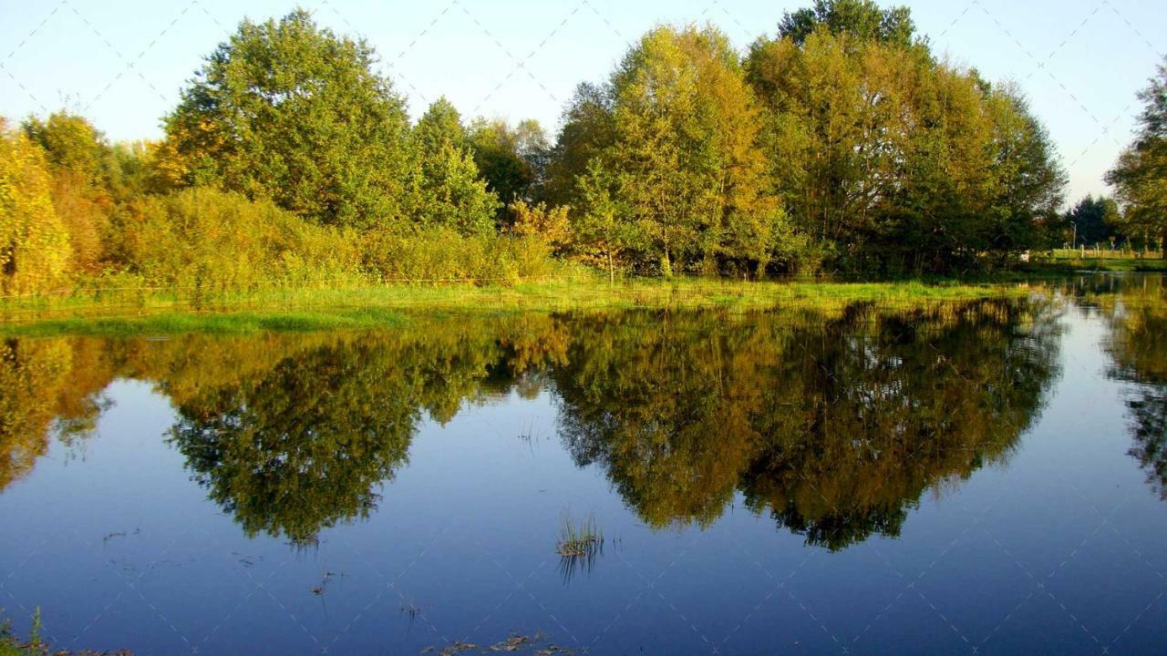 Janischs Fewo Im Spreewald, Terrasse, Grosser Garten Und Blick Inklusive Unterspreewald 외부 사진